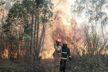 Fire fighters survey an area of burning Menengai forest. The fire destroyed hundreds of acres of forest vegetation. Efforts by Nakuru County Fire Brigade to contain the raging fire were hampered by strong winds and dead vegetation owing to ongoing dry season. The fire allegedly emanated from farming activities adjacent to the forest.