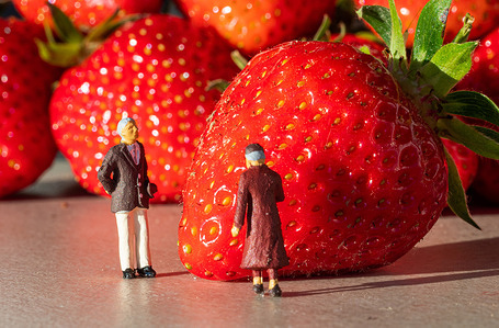 In this photo illustration, small figures are pictured looking at strawberries.