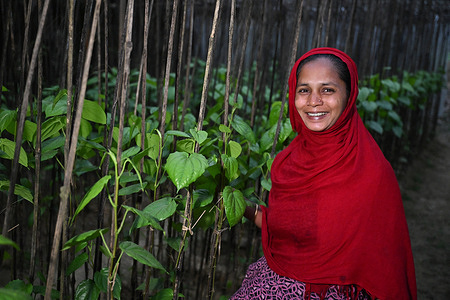 Shaheda Begum poses for a photo at her betel vine garden. Bangladeshi women thrive and uplift their families with the support of NGOs.