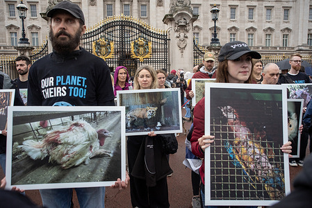 Activists hold placards during the National Animal Rights Day outside the Buckingham Palace in London. Activists gathered at the Green Park, London to mark the National Animal Rights Day (NARD) then marched to the Buckingham Palace. It is an annual global event observed on the first Sunday in June to give a voice to animals and demand their rights. Established by The National Animal Rights Day organization, the event combines a memorial for animals that die by human hands with a celebration of progress toward a cruelty-free, vegan world.