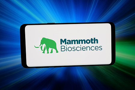 In this photo illustration, the logo of US biotechnology company Mammoth Biosciences is displayed on a smartphone in front of abstract background on computer screen.