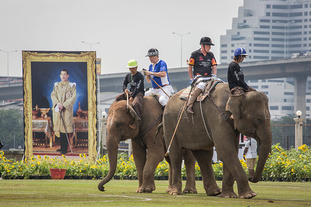 BANGKOK, THAILAND - MARCH 09: Polo player rides an elephant during the 2017 King's Cup Elephant Polo at Anantara Chaopraya Resort in Bangkok, Thailand on March 09, 2017. The King's Cup Elephant Polo was introduced to Thailand in 2001 by Anantara Resort and has grown to become one of the biggest charitable events in Thailand which has raised over US$950,000 for the National Elephant population institute, which provides medical care, housing for the mahouts and families, shelters and more.