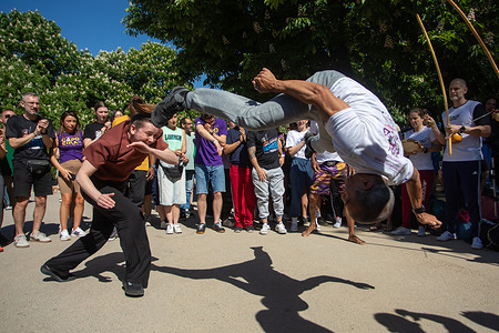 Brazilians residing in Madrid, members of the Madrid Capoeira Union, give a demonstration in El Retiro Park. A free Capoeira exhibition is held every third Sunday at El Retiro Park in Madrid, organized by the Madrid Capoeira Union. The event celebrates Capoeira as an Afro-Brazilian cultural art form that combines martial arts, dance, acrobatics and music. Known for its fluid movements and deceptive style, Capoeira blends combat with dance in a unique display.
