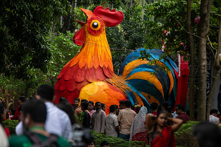 A gaint Rooster statue seen during celebration of the Bengali New Year known as Pohela Boishakh with colorful rallies and cultural programs featuring traditional dance and music. This Bengali year was introduced during the regime of Emperor Akbar to facilitate revenue collection in the 16th century.