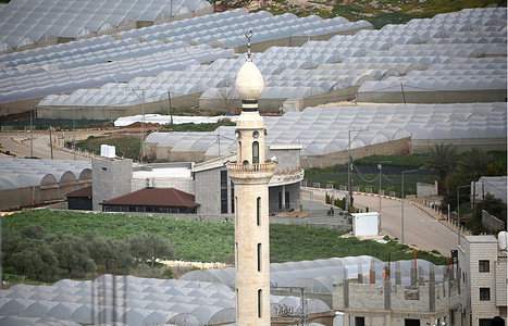 Palestinian agricultural heating systems are visible in the village of Tammun, north of the Jordan Valley near Tubas in the West Bank. The Jordan Valley is considered the breadbasket of the Palestinian territories.