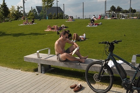 A person reads a book on a bench at a lawn in Gansevoort Beach by the Hudson River in Manhattan, New York City.