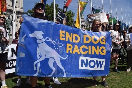 Protesters hold an 'End dog racing now' banner in Parliament Square during the demonstration. The protest march calls for an end to dog racing and marks 100 years of greyhound racing in the UK.