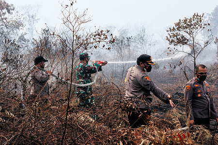 The fire fighting effort involved personel from Indonesian National Army and Republic of Indonesia Police.
Around 5.5 hectares of forest land and peatlands in Gampong, Peunaga Cut Ujong, caught fire due to hot weather and prolonged drought that began on February 27, 2021 which kept on spreading due the strong winds and hot atmospheric conditions.