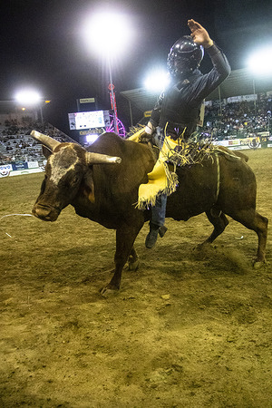 Colton Byram bull riding. The Reno Rodeo taking place for its 103rd year.