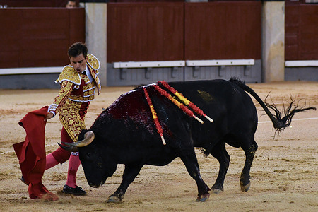 Bullfighter Ruben Pinar seen during the bullfight with bulls from the Juan Luis Fraile ranch at the Plaza de las Ventas.