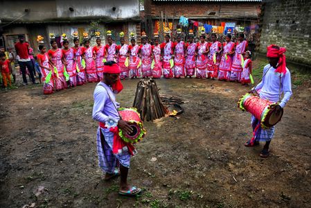 Santhali men play the drums as a part of the rehearsal program before the upcoming Durga Puja. The Santhal are the largest tribal community in India. They have a distinct culture of their own, mainly reflected in painting, dancing and singing. Group dancing and singing is the most important medium to express their joy and happiness. The three most important instruments in Santhali music are two kinds of drums, one Tumdak and the other Tamak, and Tiriao or flute.