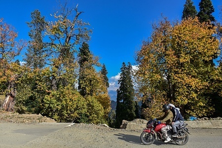 A motorcyclist moves through the colorful fall foliage during an autumn season in Bandipore, about 80kms from Srinagar, the summer capital of Jammu and Kashmir.