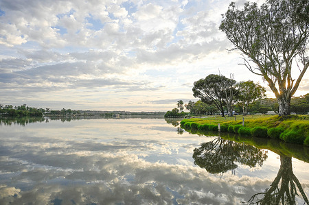 A general view of the river Murray. The River Murray, Australia’s longest river is 2.520 km long, forming the border between New South Wales and Victoria. It is the principal river of Australia, connecting the Murray – Darling river basin. It caters for the domestic water supply of over 1.5 million households. It is also a popular tourist and holiday destination.