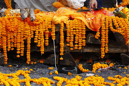 A symbolic effigy representing Suraj Timilsina, 32, made of straw and barley grains, is prepared for his final rites after his body could not be recovered following the devastating floods, at Pashupatinath Temple. Suraj, originally from Sindhupalchok, was involved in an import-export and transport business in Timure, Rasuwa, and was swept away by the floods. He is survived by his wife, Ayusha Timilsina, 27, their six-year-old son and three-year-old daughter. As thousands remain missing and many bodies have yet to be recovered, families have begun performing final rites for loved ones without their remains. The floods have killed more than 1,000 people in Nepal and left 3,916 missing, including 583 foreign nationals.