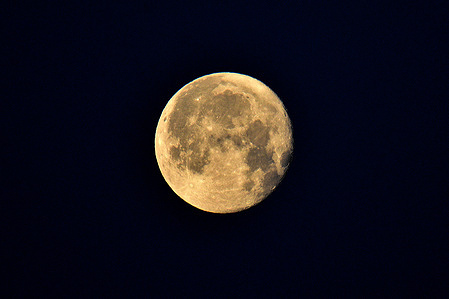 View of the full Blue Moon in the sky.