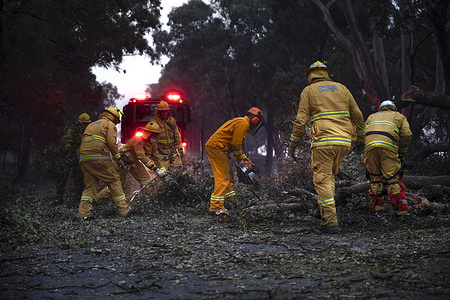 CFA members clear the road of a fallen tree between Alexandra and Yea.