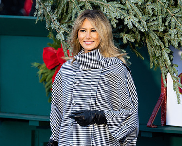 First Lady Melania Trump poses next to a horse-drawn carriage carrying the White House Christmas Tree.