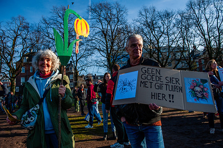 Climate activists are seen protesting against the production of tulips. The third Saturday of January marks National Tulip Day, where visitors can gather tulips at no cost from a tulip garden designed for the event at Museumplein in Amsterdam. National Tulip Day is organized by TPN, Tulip Promotion Netherlands, and has been held annually on the third Saturday of January since 2012. The tulip garden features more than 200,000 colorful tulips.