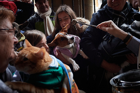 Father César Magaña blesses a dog that came to the Church of Saint Nicholas in Pamplona today for the celebration of Saint Anthony's Day, the patron saint of animals.