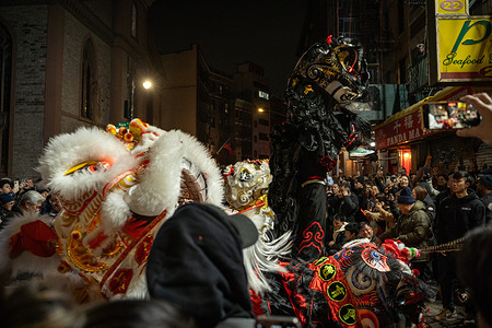 Lion dance perform on top of red benches during Midnight Madness in Chinatown. This year, Chinese-American's will usher in the Year of the Snake during celebrations in the United States.
