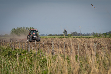 A tractor ploughs the soil for seeding soybean in a field near Firmat.