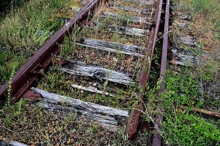 Rail of the SNCF train and unmaintained grass in the village of Saint Maurice l'Exil in France.
