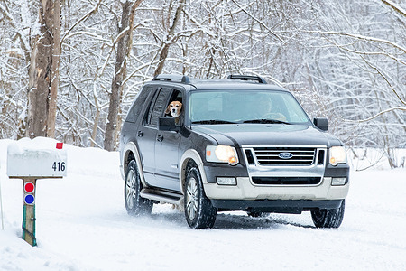 A dog sticks its head out of an SUV as it drives on a snow-covered road.
A fast-moving storm left several inches of snow over much of Pennsylvania causing travel restrictions and school closures.