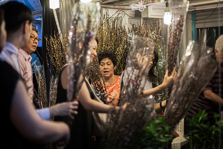 People purchase stalks of pussy willows during the celebration in Chinatown.
Items such as auspicious words and phrases are commonly bought and displayed by the Chinese to herald in the Chinese New Year.