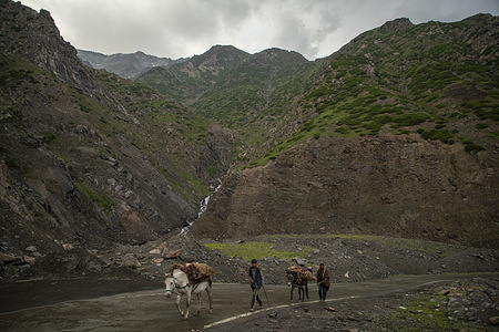 Kashmiri nomadic men walk with horses carrying firewood along the hilly Mughal Road after rainfall. The Pir Panjal Pass is a mountain pass and a tourist destination located in the Pir Panjal Range which connects the Kashmir valley to the Rajouri and Punch districts via Mughal Road. It is the highest point on the Mughal road at 3,490 meters above sea level. Mughal Road as the name suggests was historically created and used by Mughal emperors. It was the route that Akbar took to conquer Kashmir in 1586.