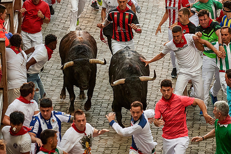 Young men run in front of the bulls during the running of the bulls at the San Fermín 2024 festivities. The Fuente Ymbro cattle ranch has starred in the fourth running of the bulls of San Fermín 2024 in Pamplona. It was an immaculate and fast race.