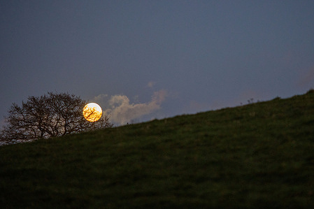 The January full moon, known as the Wolf Moon, rises over a field in Devon, appearing larger and brighter due to its proximity to Earth during a supermoon. The event was visible across the region as clear skies allowed uninterrupted observation.