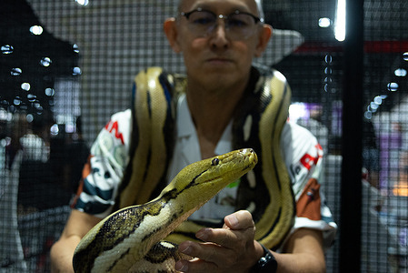 A visitor poses for a photo with a python during the Pet Expo Thailand 2025 at Queen Sirikit National Convention Center.