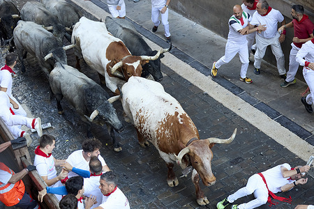 Runners run in front of the bulls through the streets during the running of the bulls at the San Fermín 2025 festivities. The bulls are from the Jose Escolar Gil ranch.