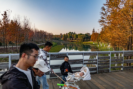 A group of people seen on a wooden bridge by a lake with winter trees.