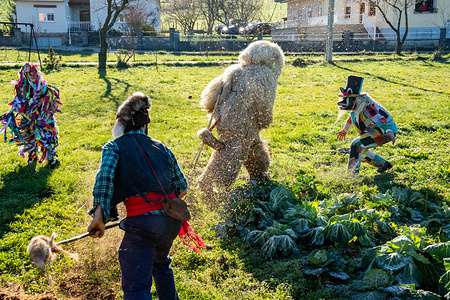 The Oso seen fighting against its owner and some Trapajeros during the celebration.
La Vijanera is a fiesta of festive nature that takes place in the town of Silió (Molledo), Cantabria (Spain) on the first Sunday of each year. Due to its popularity and tradition, it has been declared a Fiesta of National Tourist Interest.