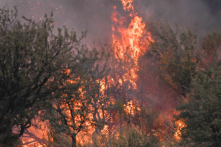 A burning bush seen in Catanzaro. A huge fire broke out in the Southern outskirts of Catanzaro, in Calabria (Italy). According to the Director of the Fire Fighters, summer season’s fires increased by 10% compared to last year, requiring high levels of attention.