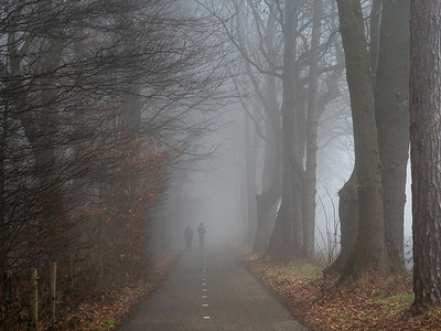 Two people are seen hiking in the forest on a foggy morning. The Royal Netherlands Meteorological Institute (KNMI) issued a code yellow warning for the province of Gelderland. Dense fog occurred in some areas, reducing visibility to less than 200 metres ,Fortunately the dense fog did not cause any traffic accidents.