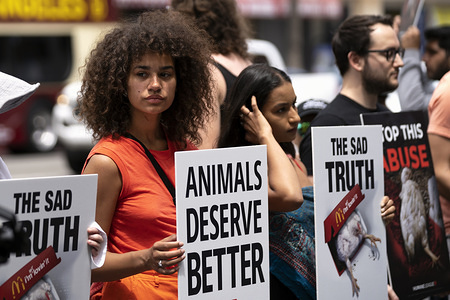 Animal rights activists seen holding placards during a protest of what they called, animal cruelty in the chicken supply chain of McDonaldâ€™s. The protest took place in front of a McDonaldâ€™s fast food restaurant on the Hollywood Walk of Fame in Los Angeles.