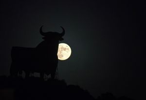 SOPA Images - Gallery - Hunter Full Moon in Malaga, Spain