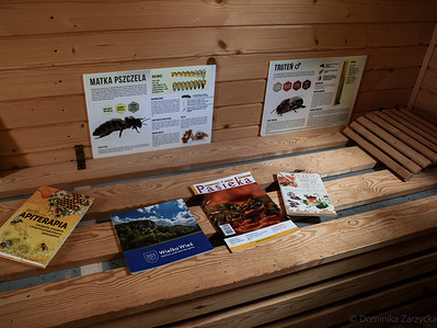 Hive therapy space at a small family-run farm Pasieka Podskalany Piotr Wojtaszek apiary as World Bee Day approaches. At a small bee farm near Kraków, traditional beekeeping methods continue to support local biodiversity and honey production.