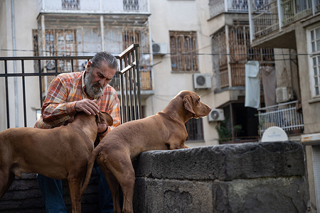 A local Georgian man seen with his pet dogs in the streets.