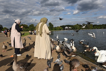 Women seen feeding birds at Kensington Gardens in London.
Kensington Gardens is one of London's beautiful Royal Parks, a serene and historically rich space that was once the private grounds of Kensington Palace.