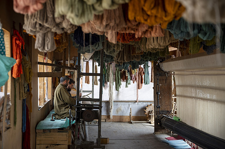 Kashmiri artisans are seen weaving a traditional carpet in a carpet weaving factory. Inside a carpet-weaving factory in Pattan, Baramullan, artisans work on one of the largest hand-knotted Kashmiri carpets, measuring 72 feet by 30 feet, a rare and monumental undertaking. Carpet weaving is among the most refined traditional crafts of Kashmir, admired worldwide for its elegance, durability, and intricate artistry. Hand-knotted on traditional wooden looms, Kashmiri carpets display exceptional craftsmanship, delicate floral and vine motifs, and rich natural hues, embodying centuries-old weaving traditions and the region’s enduring cultural legacy.