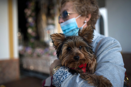 A dog looks on before being blessed by a priest outside San Anton church at the neighborhood of Churriana during the Saint Anthony day.
The festival of San Anton is a religious tradition that is celebrated every year in Spain, where all types of animals are blessed by a priest in the name of the patron Saint of animals, Saint Anthony.