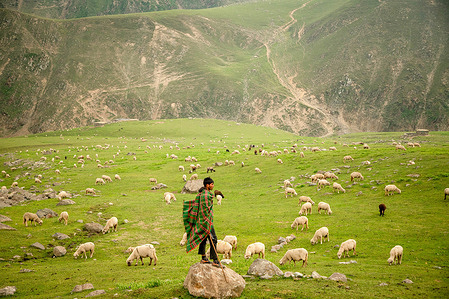 A Kashmiri nomadic man grazes his sheep near the Pir Panjal Pass south of capital city Srinagar. The Gujjar and Bakarwal pastoralist community are among the most vulnerable secluded tribes in the region facing a crisis following the April 22 attack in Pahalgam that killed 26 Hindu tourists and triggered the worst military escalation between nuclear rivals, India and Pakistan in decades. Since then, authorities have closed 48 high-altitude locations including key grazing areas across Indian-administered Kashmir stranding hundreds of nomadic families in the lowlands during their peak seasonal migration. The closures threaten livestock health and endanger a centuries-old migratory herding tradition that underpins their livelihood and cultural identity.