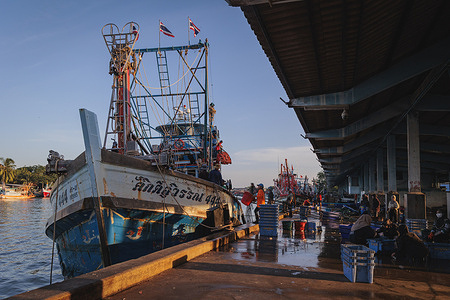 Boat workers seen unloading buckets full of fish at the Pattani fish market. The Pattani Fish Market (often referred to as the Pattani Fish Port or Municipal Market) is the largest fishery hub in southern Thailand, located on the Gulf of Thailand. It is renowned for its bustling wholesale and retail trade, supplying fresh seafood—including fish, shrimp, and crab—throughout the country.