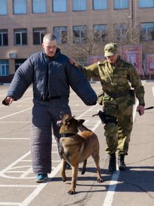 SOPA Images - Gallery - Training of dog handlers of the Russian Guard ...