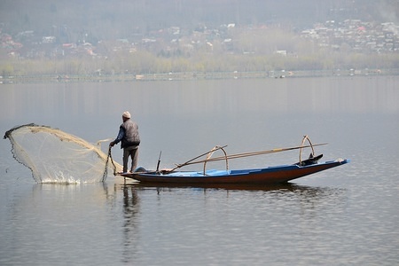 A Kashmiri fisherman seen casting his net from his boat during a sunny spring day in Srinagar, Kashmir. 
Kashmir is the northernmost geographical region of the Indian subcontinent. It is currently a disputed territory, administered by three countries: India, Pakistan and China.