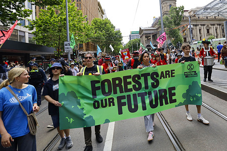 Activists seen marching during the rally. Climate activists gather for a rally calling for stronger protection of forests and greater action on the climate crisis. Participants meet at the State Library before marching to Flinders Street Station, urging the government to end native forest logging and promote sustainable environmental policies. The demonstration highlights growing public concern over biodiversity loss and the need for long-term climate solutions.