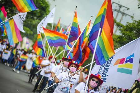 Participants waving rainbow pride flags during the Pride March.
Members of the LGBT community took to the streets to perform in an annual Pride Parade celebrating diversity and protest for human rights laws to be approved by Congress.